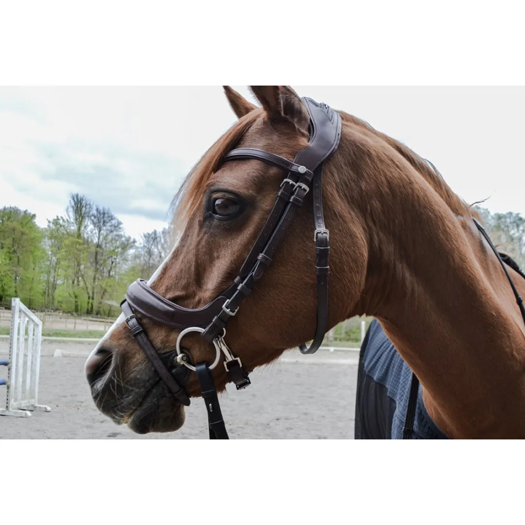 Montar Bretagne Organic Tanned Bridle